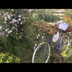 Meet your Posher, Sevim